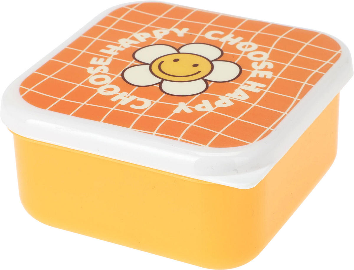 Lunchbox set 3 stuks assorti