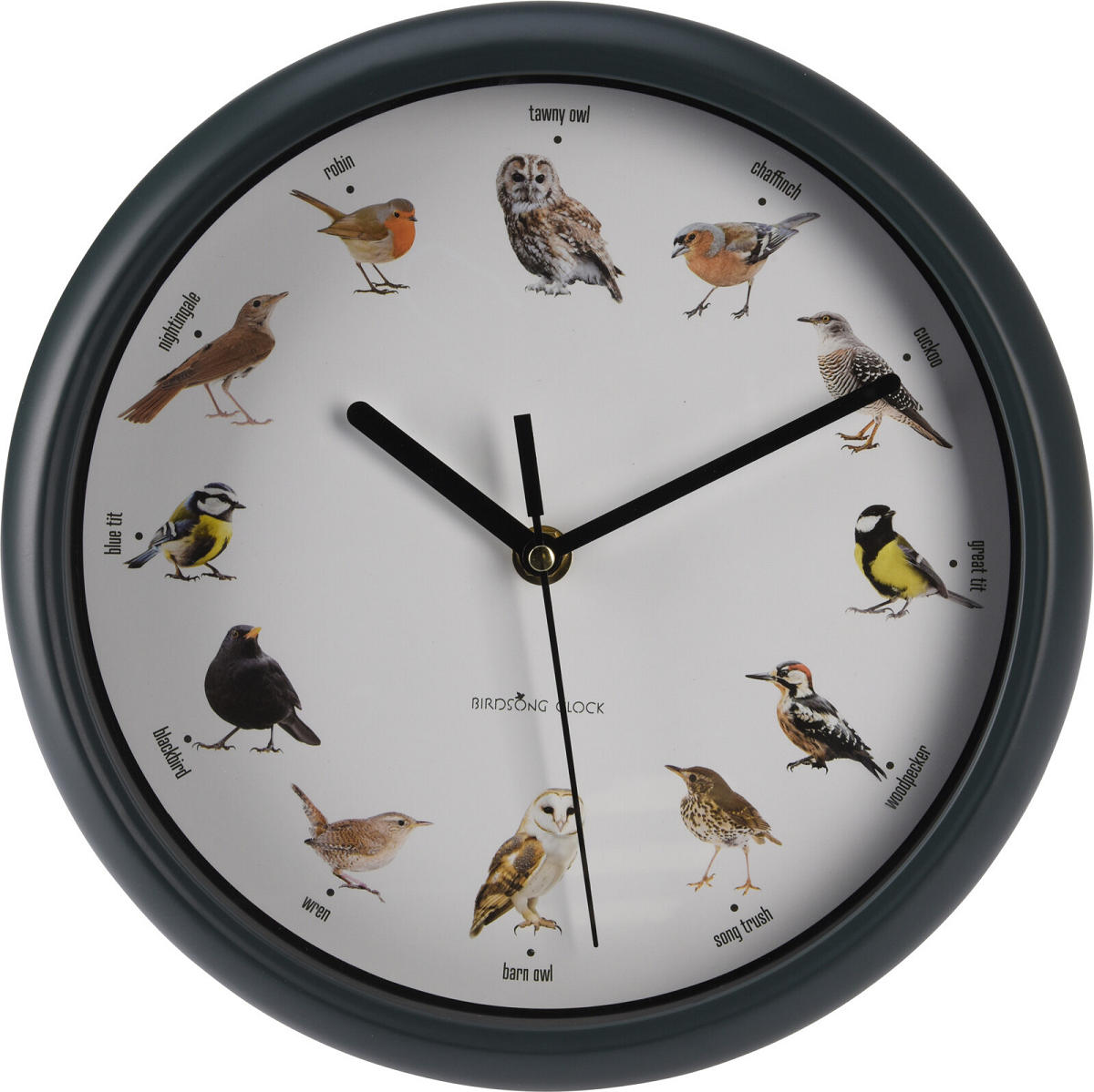 Wandklok Birds 25cm met vogel geluiden