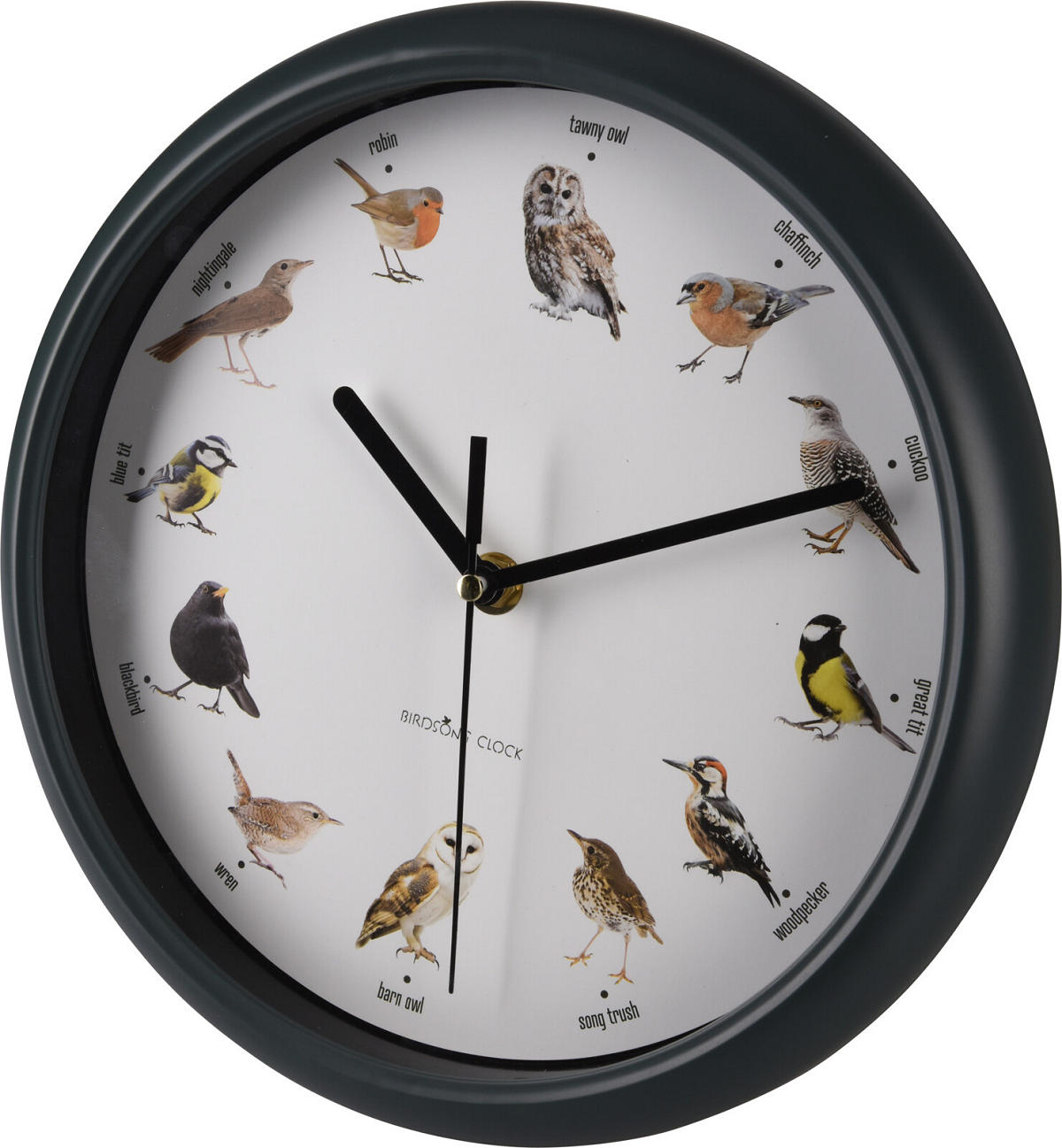 Wandklok Birds 25cm met vogel geluiden