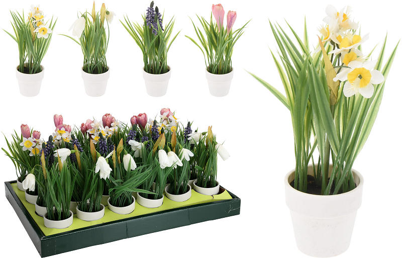 Bloemen in witte pot 23cm - assorti