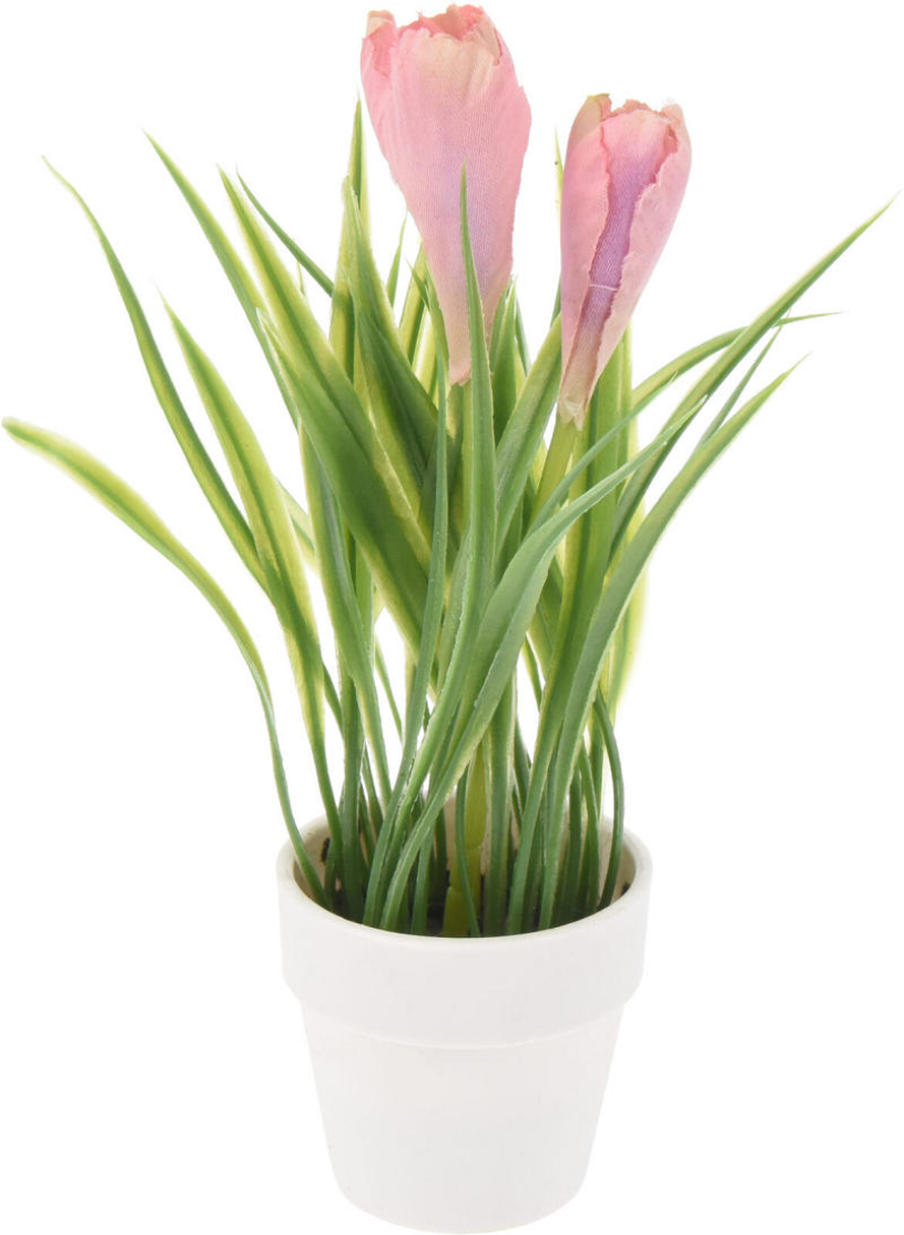 Bloemen in witte pot 23cm - assorti