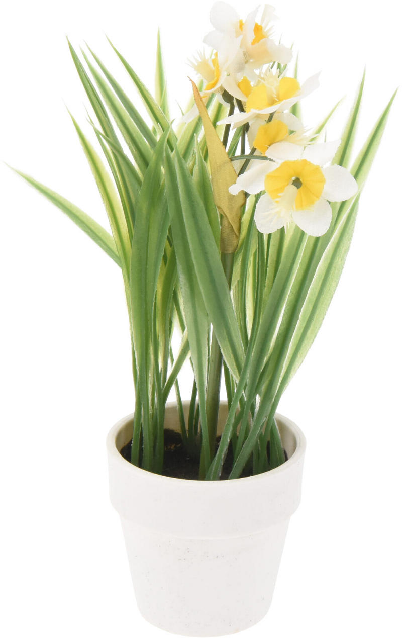 Bloemen in witte pot 23cm - assorti