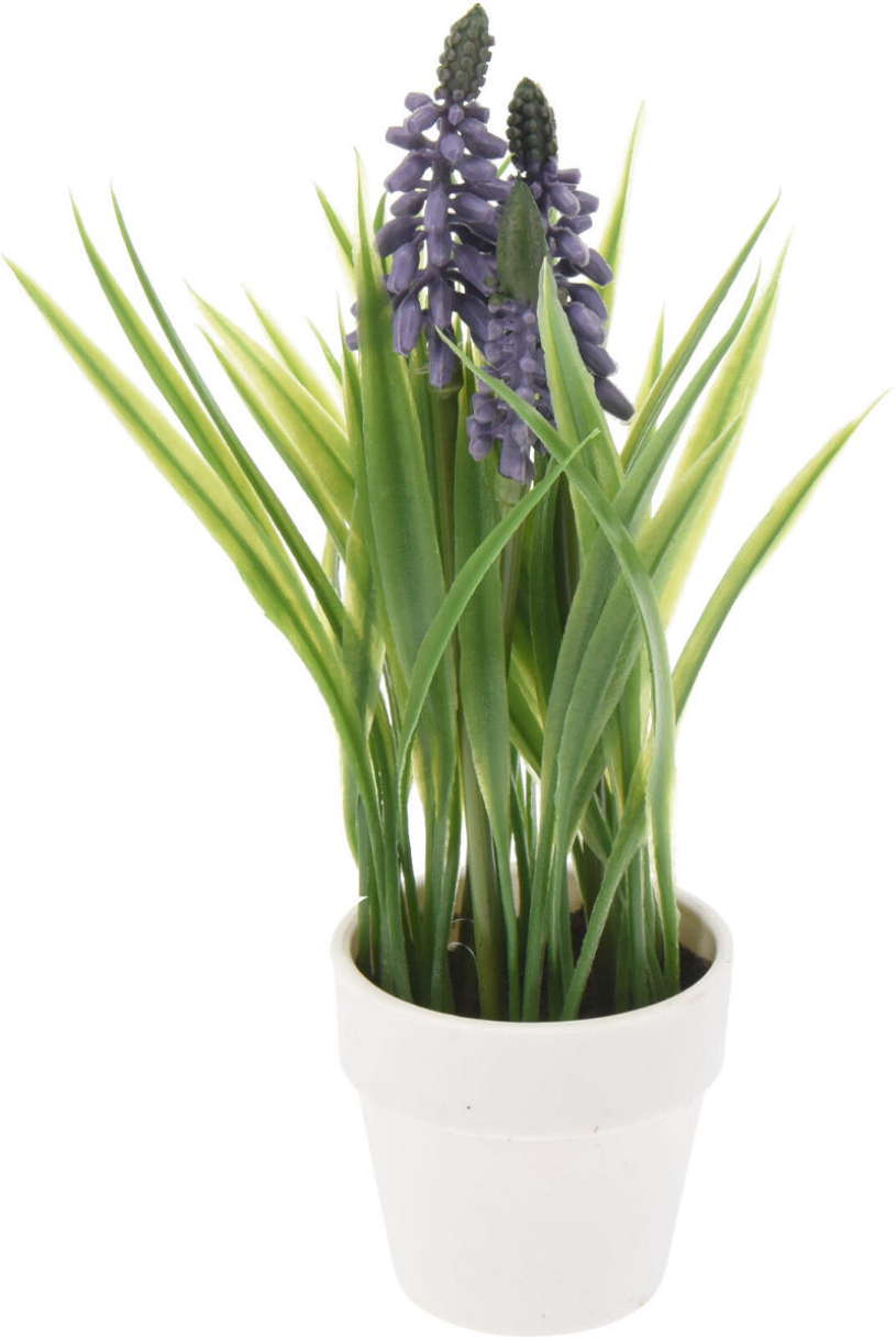 Bloemen in witte pot 23cm - assorti