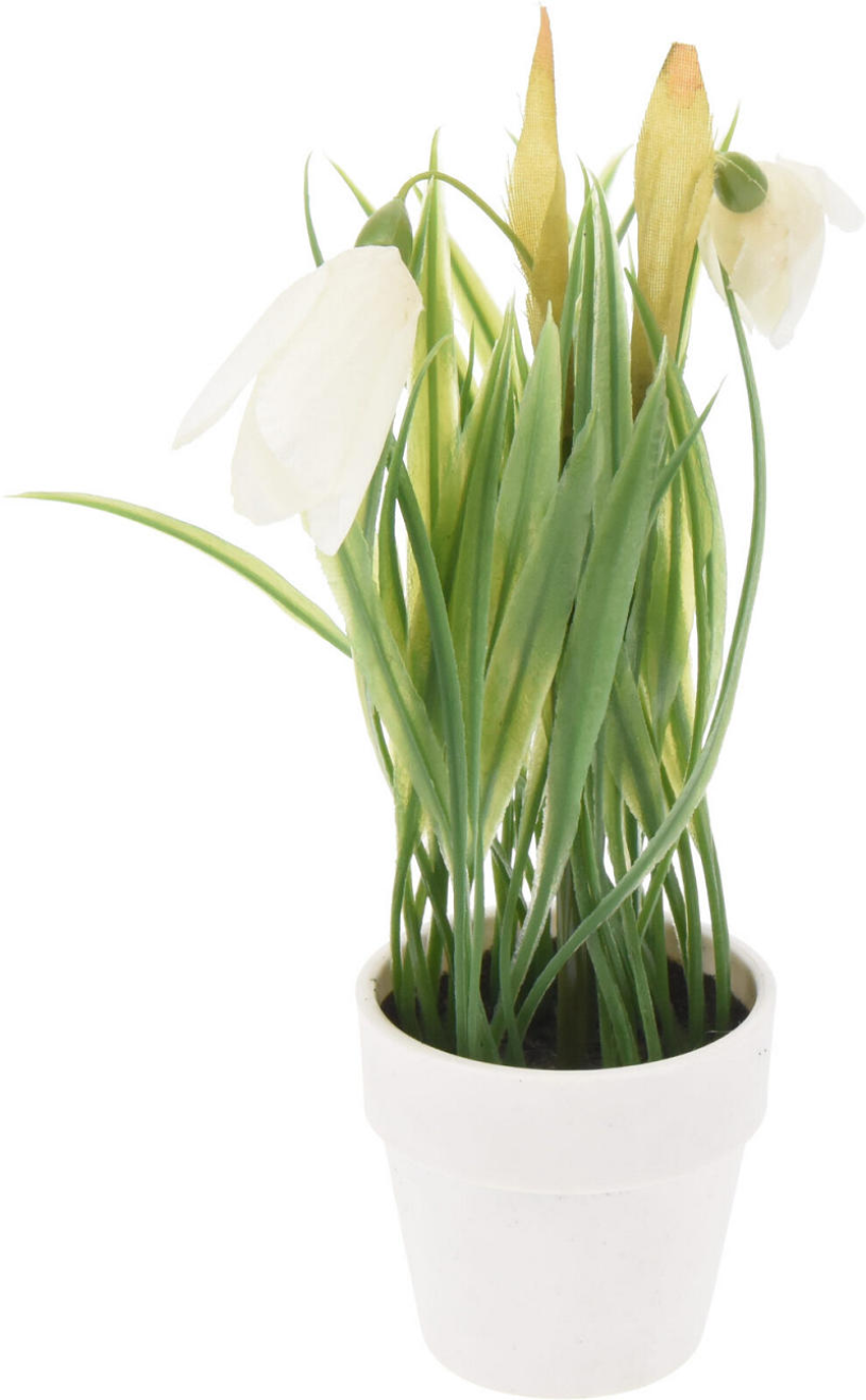 Bloemen in witte pot 23cm - assorti