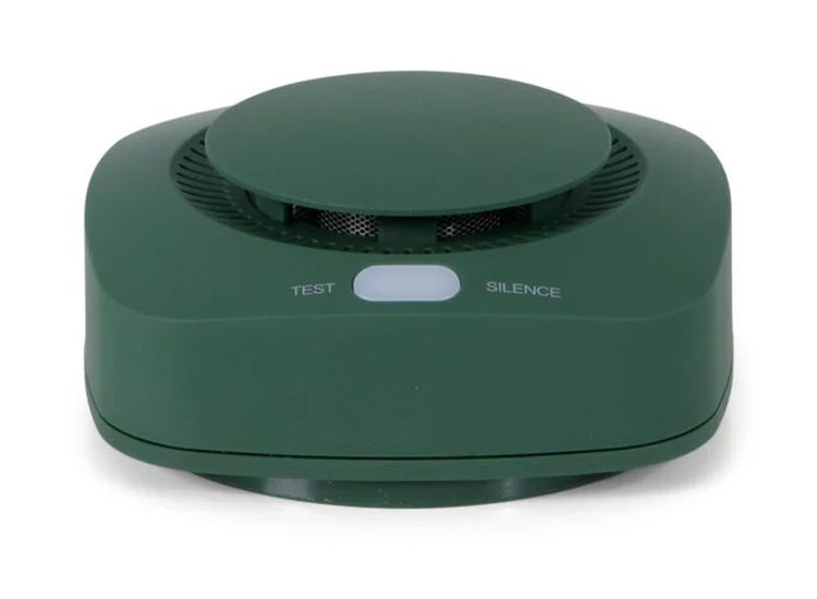 BRAINZ Rookmelder - Groen