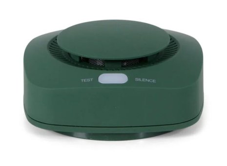 BRAINZ Rookmelder - Groen