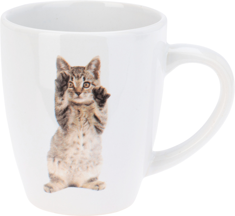 Beker 22cl set 3 stuks - Katten