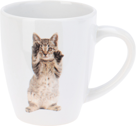 Beker 22cl set 3 stuks - Katten