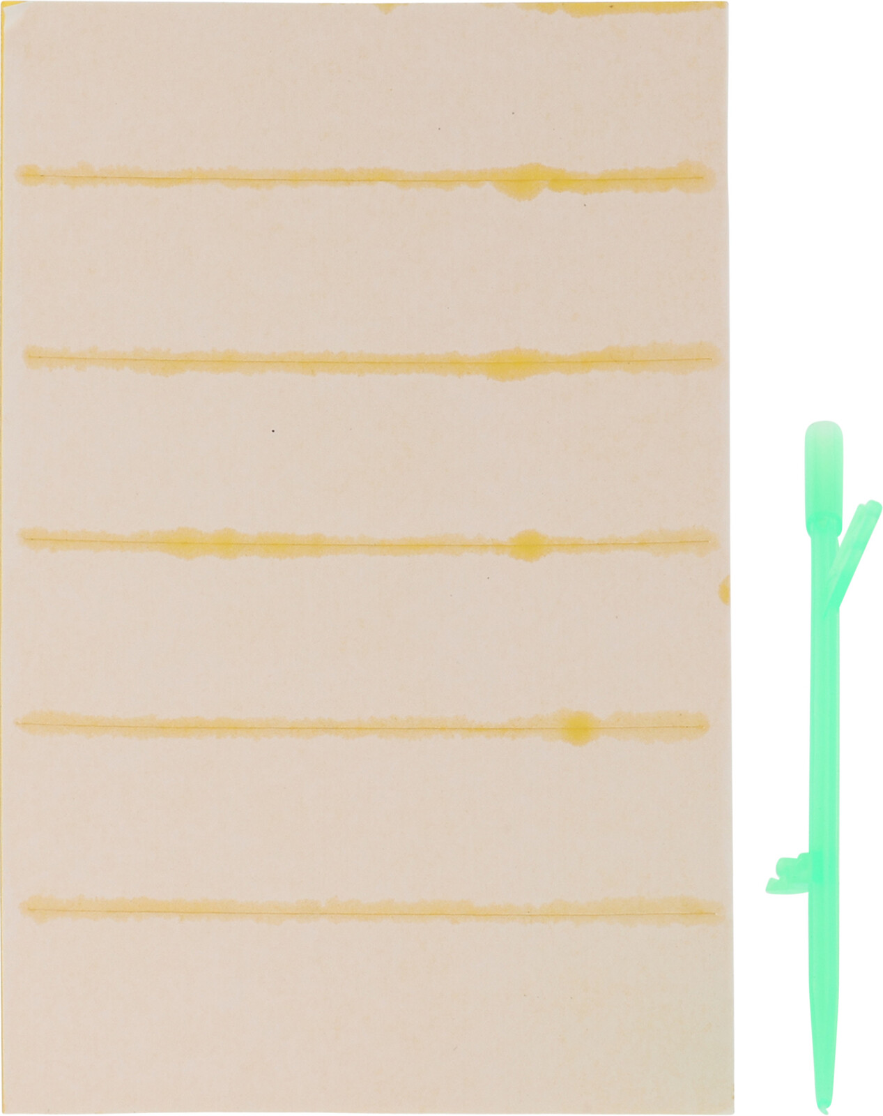 ProGarden Insectenvanger set 24 stuks