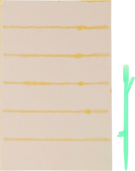 ProGarden Insectenvanger set 24 stuks