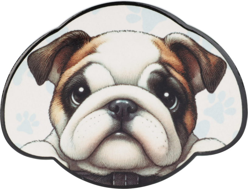 Onderzetter Hond 4 stuks in houder