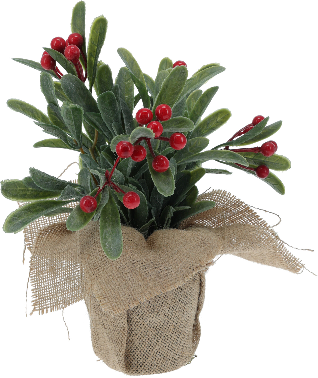 Plant Rode Bessen in jute pot 23cm