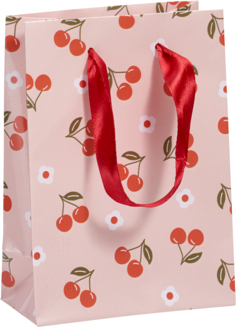 Geschenktas 4 assorti 11x16 cm