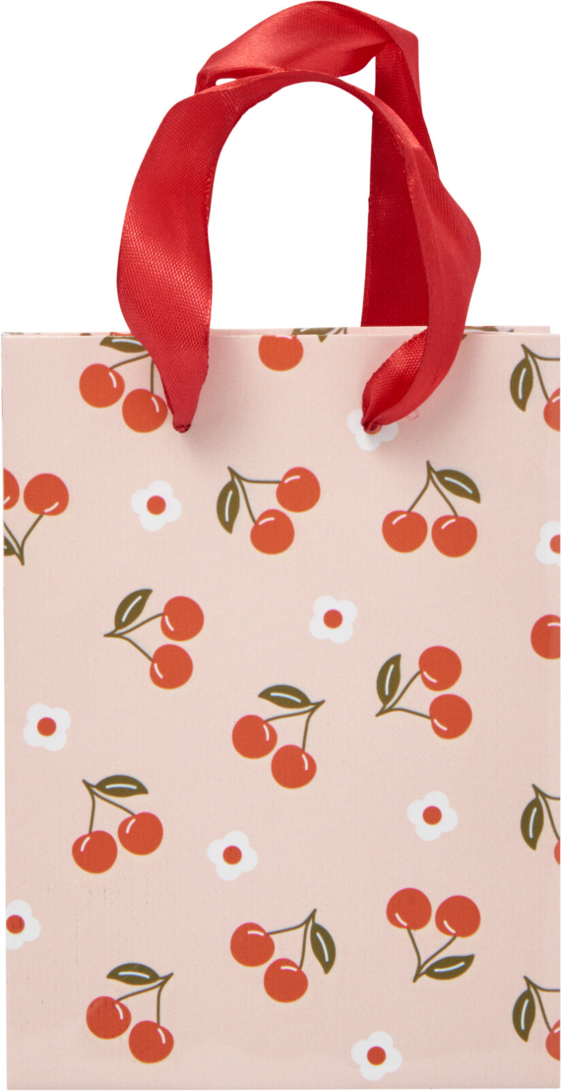 Geschenktas 4 assorti 11x16 cm