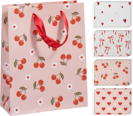 Geschenktas 4 assorti 18x23cm