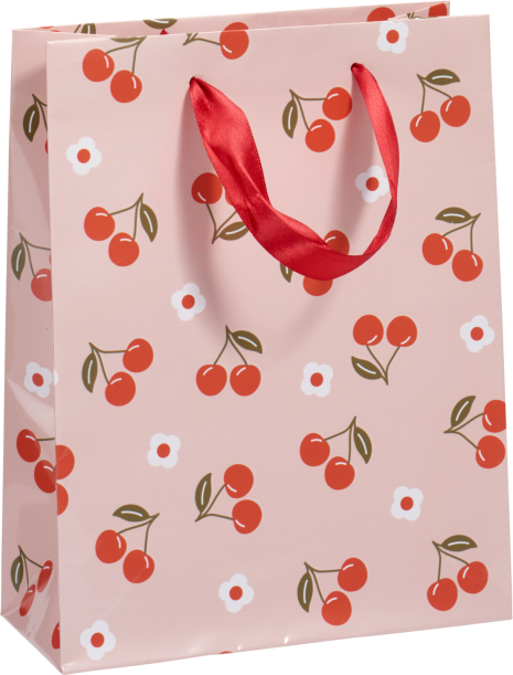 Geschenktas 4 assorti 18x23cm