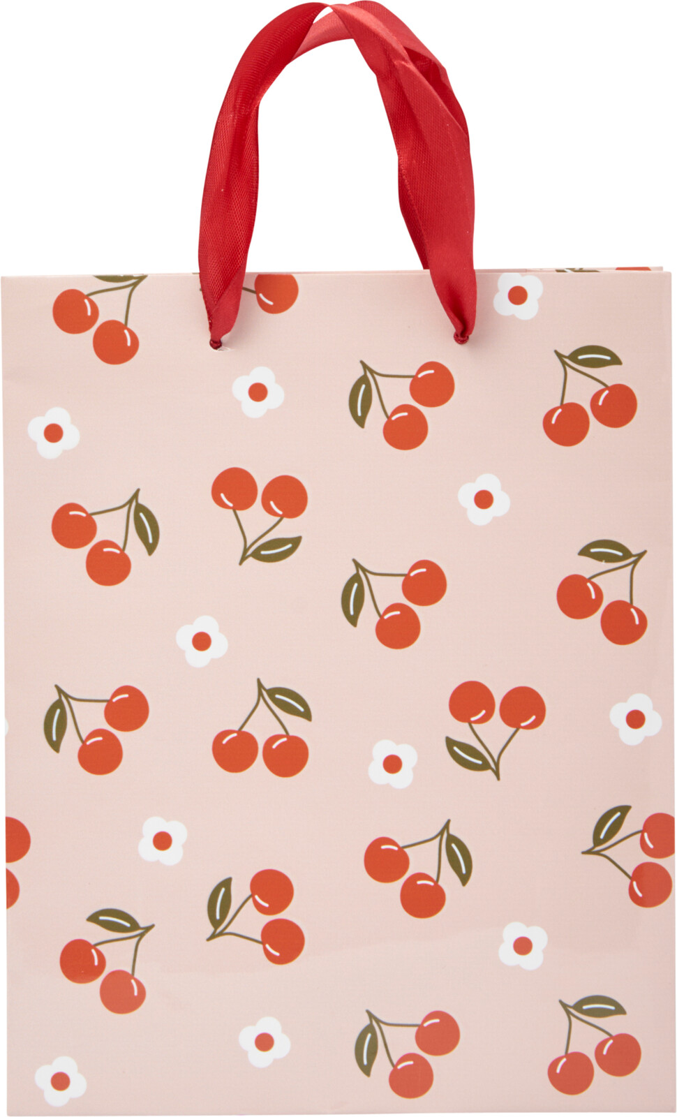 Geschenktas 4 assorti 18x23cm