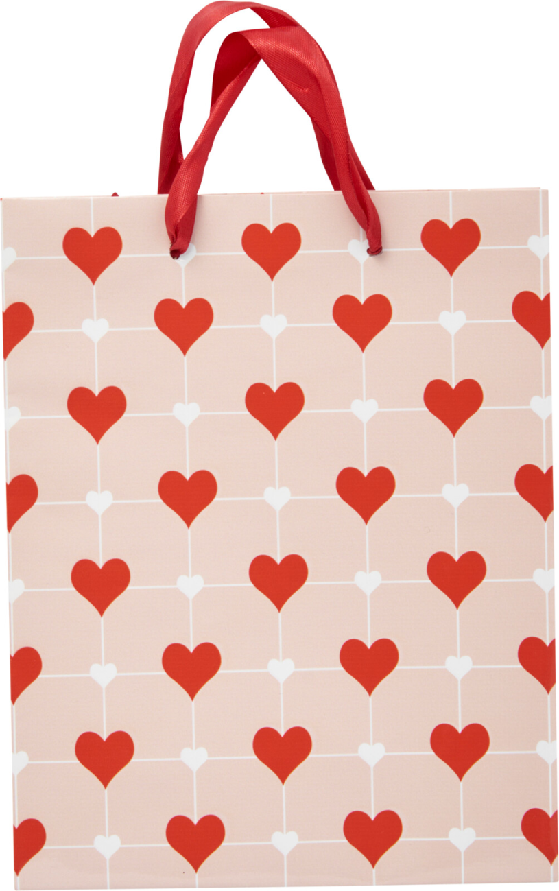 Geschenktas 4 assorti 18x23cm