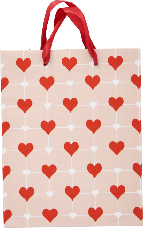 Geschenktas 4 assorti 18x23cm