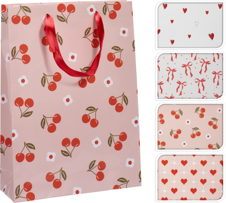 Geschenktas 4 assorti 25x35 cm