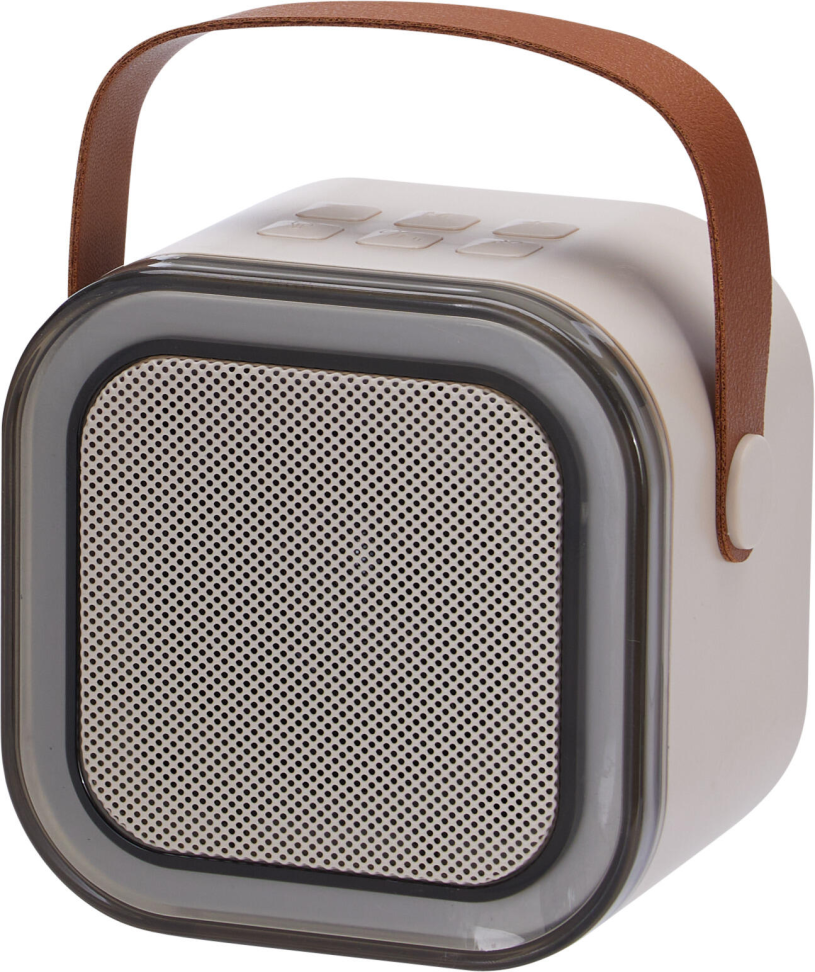 Karaoke set 3-delig draadloos