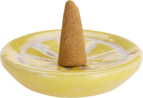 Citronella Wierook kegels 30 stuks incl. houder